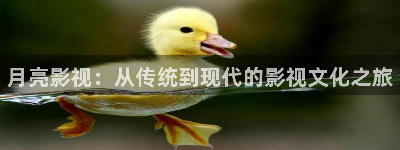 樱花视频下载入口