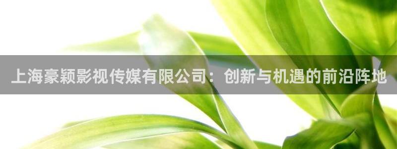 樱花视频怎么下载?