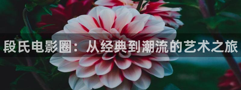 樱花影视一区
