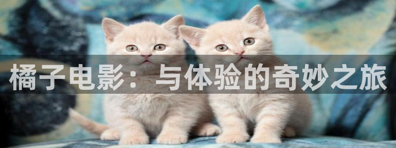 樱花视频黄色