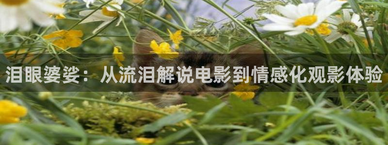 www樱花视频在线观看