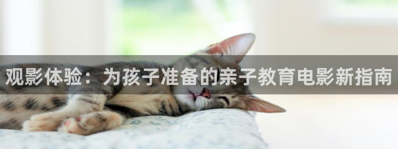 樱花视频推荐