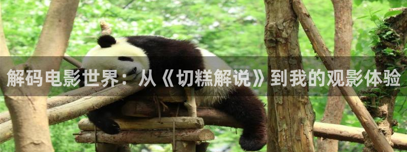 樱花视频高清版