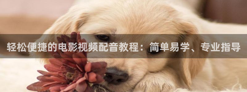 樱花视频看动漫