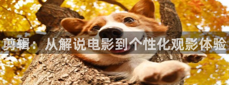 久久久樱花影院