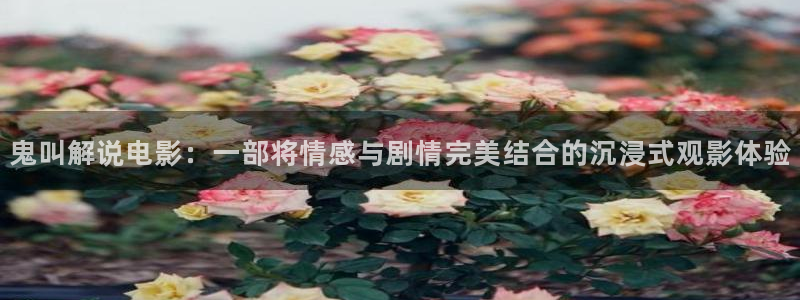 樱花视频观看