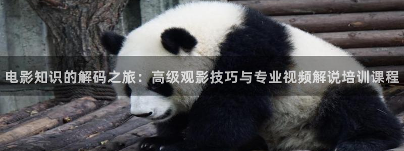 《樱花视频》