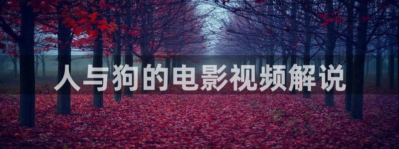 樱花影院网站在线观看电视剧