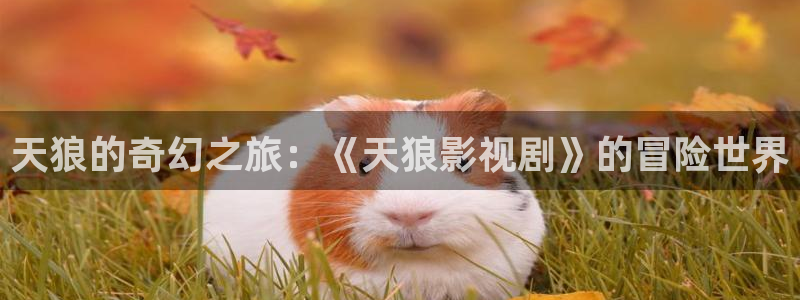 樱花视频在线播放免费观看电视剧的樱桃