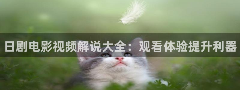 9.1樱花视频：日剧电影视频解说大全：观看体验提升利器