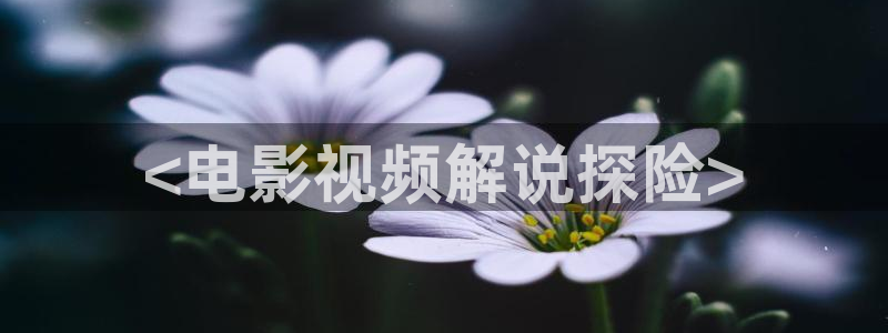 樱花影院高清电影：<电影视频解说探险>