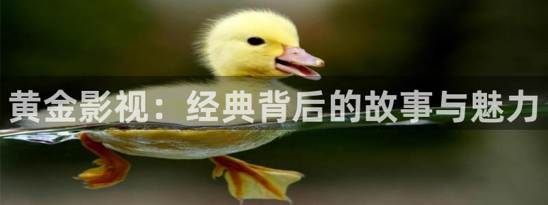 樱花影院永久入口：黄金影视：经典背后的故事与魅力
