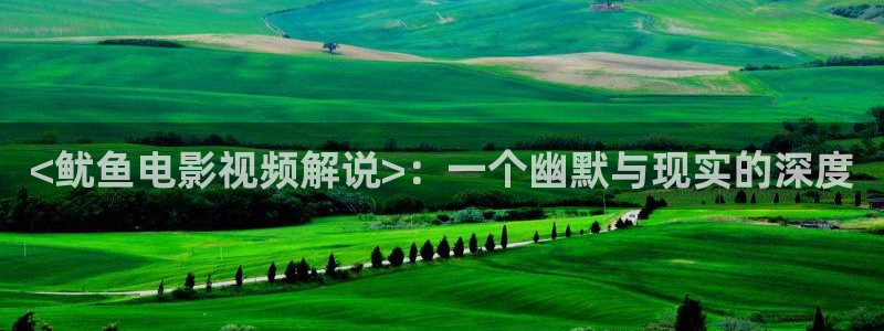 看樱花视频：<鱿鱼电影视频解说>：一个幽默与现实的深度
