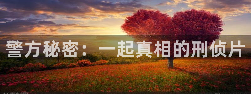 樱花影视剧在线观看免费：警方秘密：一起真相的刑侦片
