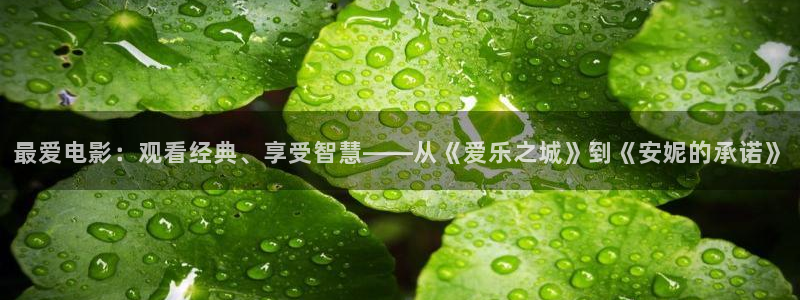 樱花影院破解：最爱电影：观看经典、享受智慧——从《爱乐之城》到《安妮的承诺》