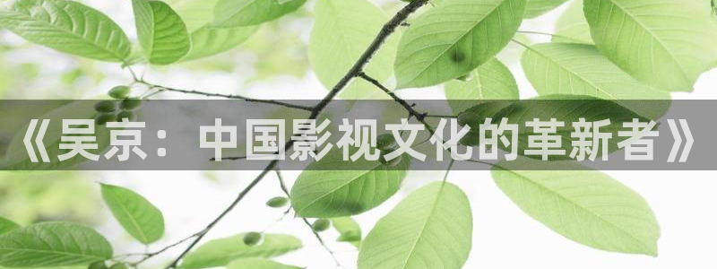 樱花影视手术直播间：《吴京：中国影视文化的革新者》