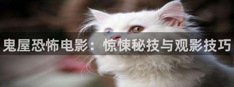 www.樱花影视：鬼屋恐怖电影：惊悚秘技与观影技巧