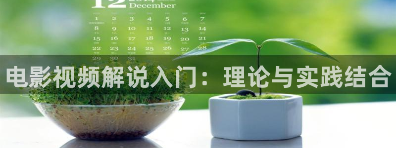 樱花视频在线观看电视剧大全播放：电影视频解说入门：理论与实践结合