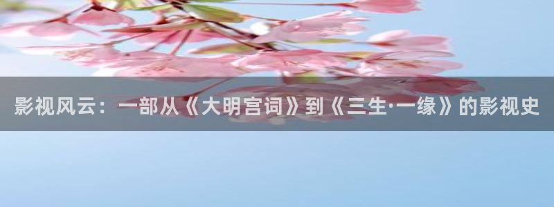 樱花影视大全免费观看：影视风云：一部从《大明宫词》到《三生·一缘》的影视史