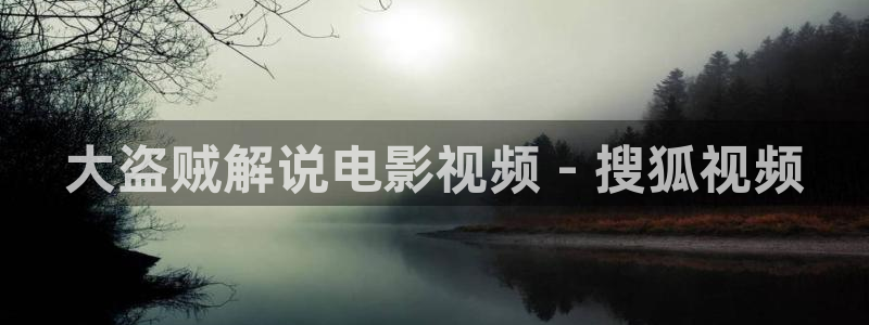 樱花影院电视剧：大盗贼解说电影视频 - 搜狐视频