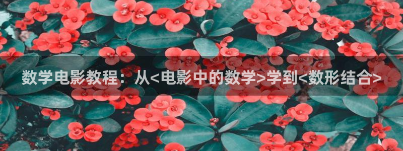 www..com樱花视频：数学电影教程：从<电影中的数学>学到<数形结合>