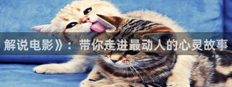 在线樱花视频：解说电影》：带你走进最动人的心灵故事