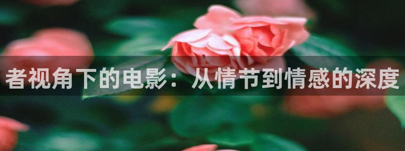 贤者之孙动漫樱花视频：者视角下的电影：从情节到情感的深度