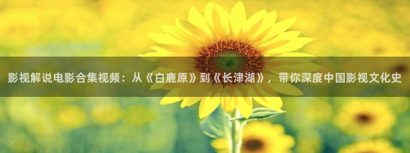 樱花视频在线观看免费大全：影视解说电影合集视频：从《白鹿原》到《长津湖》，带你深度中国影视文化史