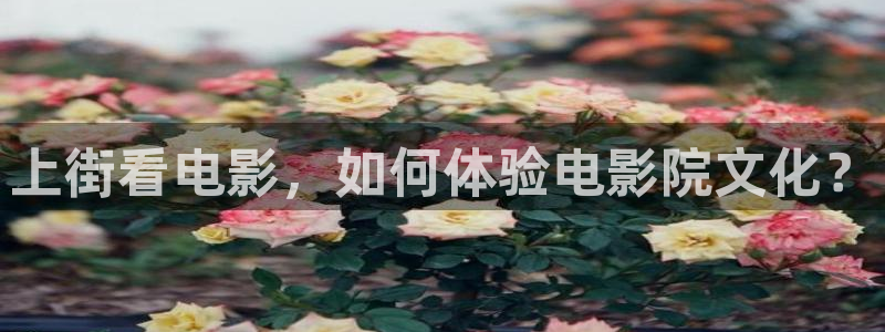 樱花影院高清电影好看的电视剧：上街看电影，如何体验电影院文化？