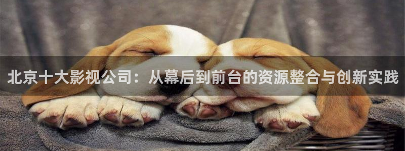 樱花影院在线观看免费播放电视剧：北京十大影视公司：从幕后到前台的资源整合与创新实践