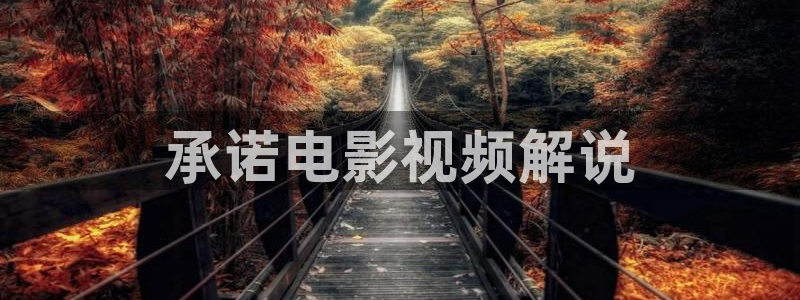樱花视频基地：承诺电影视频解说