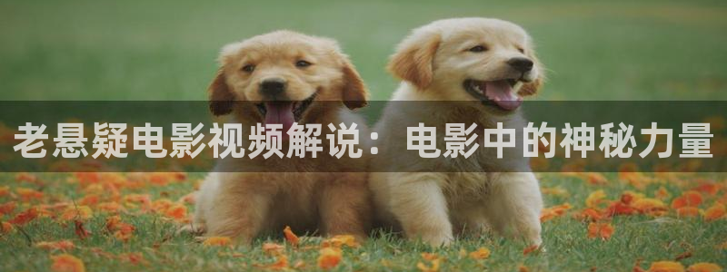 樱花视频手机版：老悬疑电影视频解说：电影中的神秘力量
