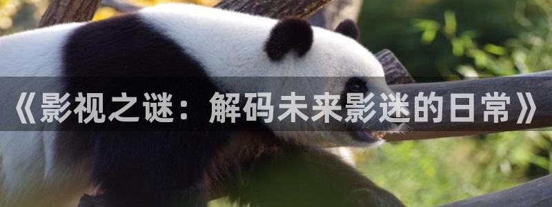 樱花影院网页版